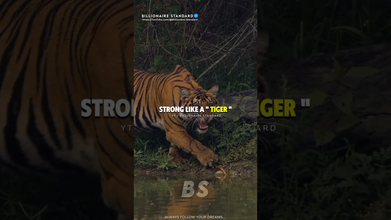 SIGMA RULES 😎|Fearless like a LION!💪 | #shorts motivation #shortsfeed inspirational quotes #viral