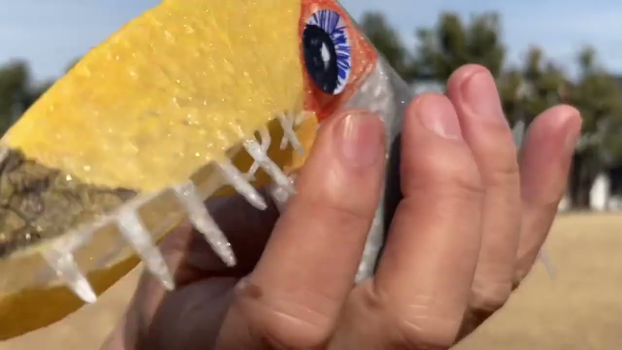 2024年2月15日　ランフォリンクス 　Rhamphorhynchus　羽ばたき飛行機