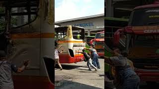 Download lagu PROSES PEMINDAHAN DAN EVAKUASI BUS RELA RENATA #dolancuan #kotasolo #terminaltirtonadi #relarenata mp3