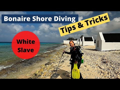 Bonaire Shore Diving Tips & Tricks - White Slave