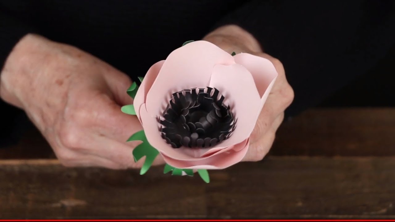 Lia Griffith Paper Anemone Video