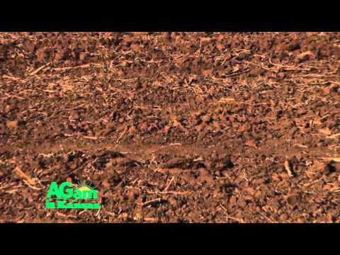 KSU - I Love Soil - Dr. Dorivar Ruiz Diaz