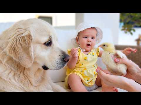 YouTube 썸네일