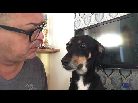 download lagu mp3 mp4 Meuri, download lagu Meuri gratis, unduh video klip Download Meuri Mp3 dan Mp4 Viral Gratis