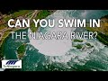 Can You Swim In The Niagara River ToNiagara