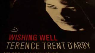 Terence Trent D&#39;Arby - Wishing Well (The Cool In The Shade Mix)