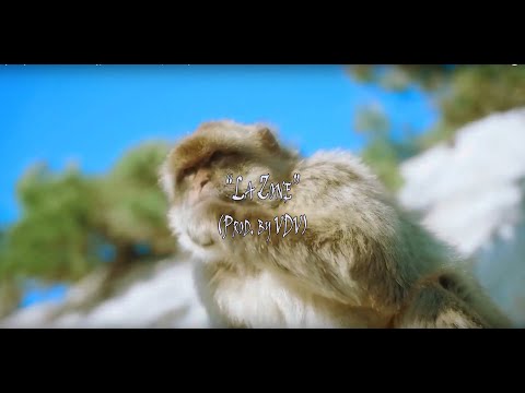 [FREE] VDV x Nabi x Rhove type beat - "La zone" | Afrotrap instrumental 2023