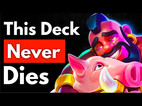 2.6 Hog Cycle is BACK and BETTER than Ever!!