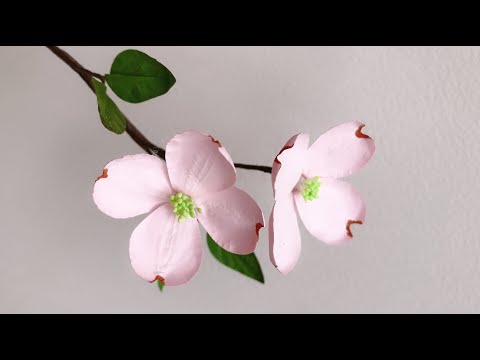 ABC TV | How To Make Dogwood Paper Flower With Shape Punch - Craft Tutorial