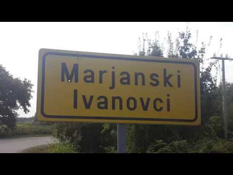 MARIJANSKI IVANOVCI