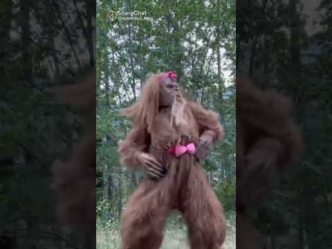 bandariya ka super dance 🤣🤣🤣😃😃😃😃