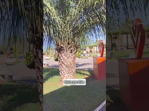 Matrinchã, Goiás, Brasil! Bora conhecer essa bela praça!
