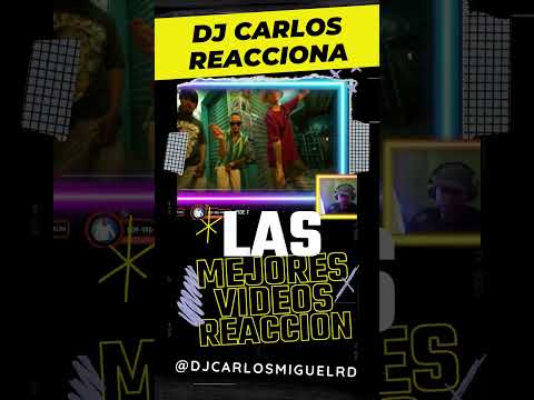 Ceky Viciny X Bulin 47 X Wander Love - WAO QUE LOCO