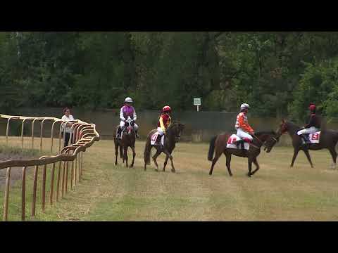 Dostihy Lysá nad Labem 5. 7. 2025 - Pony liga 2025 s CK Martin Tour - 2. oddělení