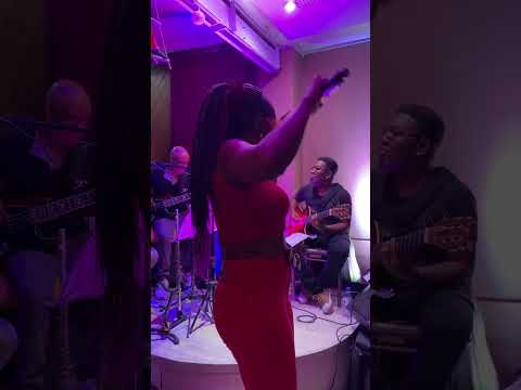 Wil Carvalho - Pra ser sincero (Carlinhos Brown/Marisa Monte) #mpb #musica  #musicabrasileira #show