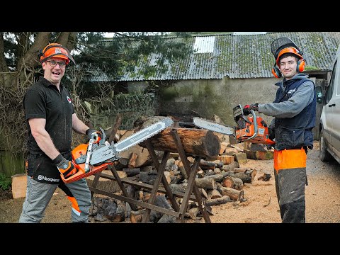 Husqvarna 592 XP vs Husqvarna 372 XP!