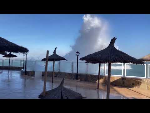 Colonia de Sant Jordi 2025 11 24