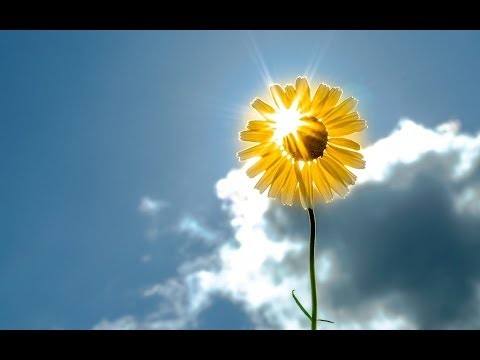 ☆ Jen sám - Olympic [HD]