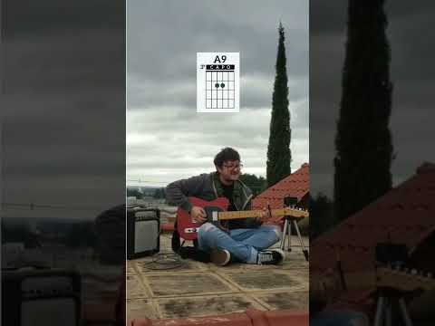 The Jizmo Show - Tripod