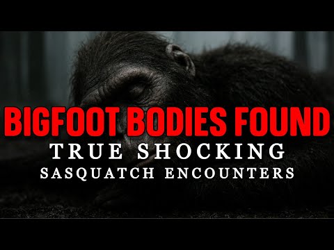 BIGFOOT BODY FOUND: SHOCKING TRUE SASQUATCH ENCOUNTERS