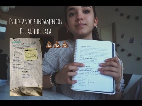 Estudiando un domingo conmigo (o intentándolo) |By Hermoss|
