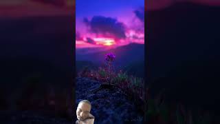 Natural wonders of the world #nature #animals #travel #wildlife #photography #edit