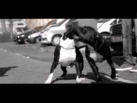 Oomps - Wat Moet Ik Doen (Official Video)