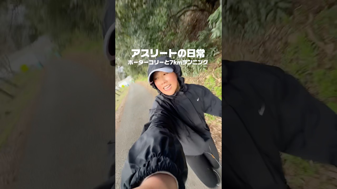 ボーダーコリー9ヶ月着々とアスリート犬に成長中！