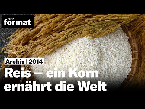 Reis – ein Korn ernährt die Welt (2014)