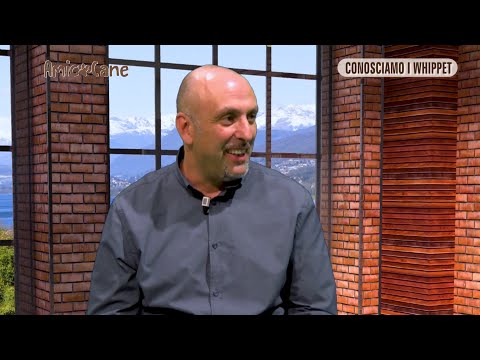 Omaggio a Luca Mauri. Con lui conosciamo meglio il Whippet - Amico cane