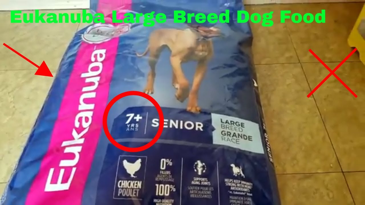 ✅  How To Use Eukanuba Large Breed Dog Food Review