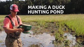 Duck Hunting: How you