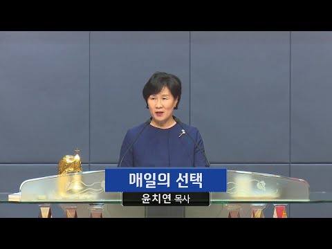 매일의 선택 사진