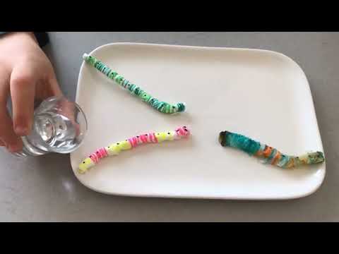 Petit ver de terre : expérience pour enfants