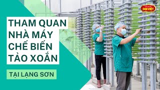 Tham quan Nhà máy chế biến tảo xoắn tại Lạng Sơn của Tập đoàn Đại Việt - TẢO XOẮN ĐẠI VIỆT
