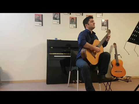 Pavaniglia by C.Calvi ( classical guitar basic level )