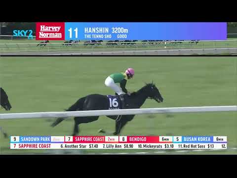 2022 JRA HANSHIN TENNO SHO (SPRING)