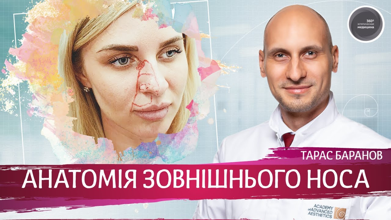 Анатомия Лица для Косметологов ► Анатомия наружного носа