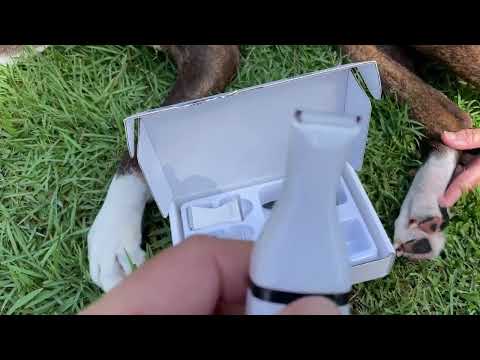 oneisall Dog Clippers with Double Blades,Cordless Small Pet Hair Grooming Trimmer Review