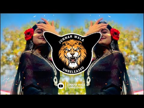 O Bhavre Remix || DJ Shadow Dubai || Junnar Wala Unreleased