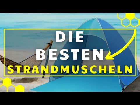 Strandmuschel TEST - Die 3 besten Strandmuscheln im großen VERGLEICH!