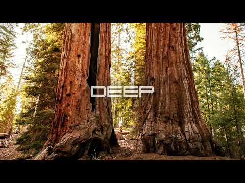 DEEP XXXIV [M83, Kölsch, Dyzen, Helsloot, Estiva and more] by markQ