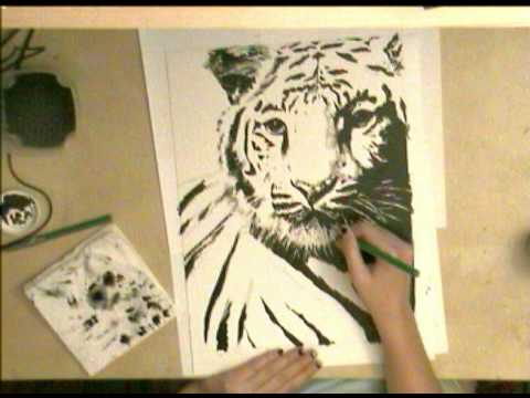 Fehér tigris rajzolás/festés