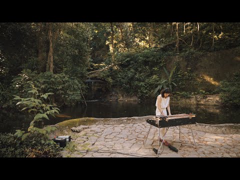 Patch Notes: Luiza Schulz Vazquez