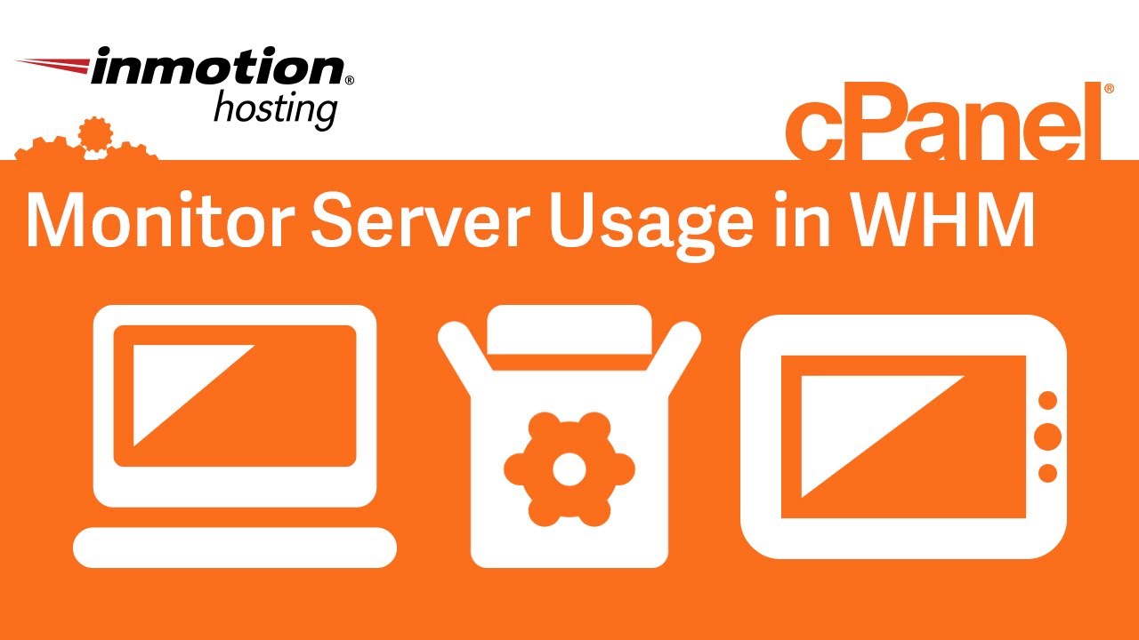 Monitor server usage in WHM