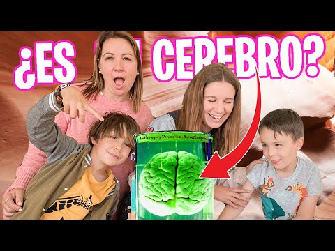 El mejor MUSEO para ir EN FAMILIA 👨‍👨‍👧‍👦