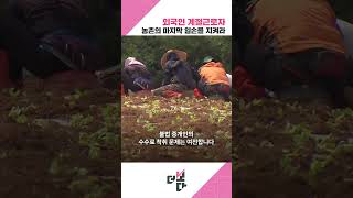 외국인 계절근로자, 농촌의 마지막 일손을 지켜라