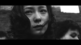 The Scars of the Pacific