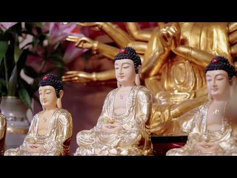 Podpořte česko-vietnamské vztahy