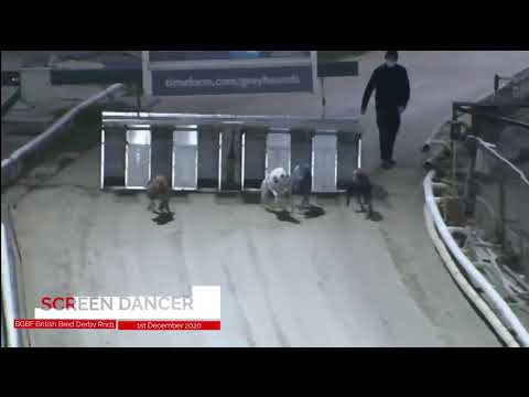 Screen Dancer - BGBF British Bred Derby - Heat 3